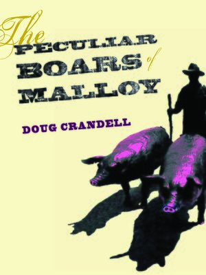 cover image of The Peculiar Boars of Malloy